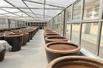 有机黄豆酿造古法酱油