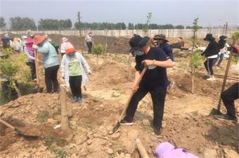 愚公移山精神在 旗舰成功天道酬勤 ——富足古酿小镇树木移栽活动纪实