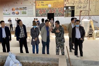 农业部、省农业厅领导和专家莅临古酿小镇考察指导工作