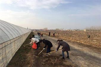 弘扬雷锋精神 助推小镇发展——机关人员参加“学雷锋”义务劳动