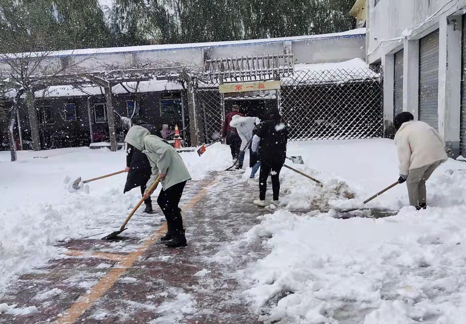 旗舰集团组织机关人员扫雪