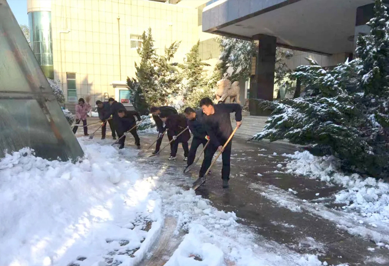 旗舰集团党支部书记韩利同志带领机关人员清理积雪