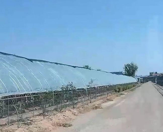 “奋力走在前·走镇街看发展”融媒直播活动走进富足古酿小镇