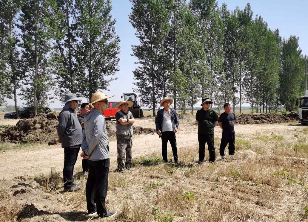 2023麦收季——古酿小镇开镰收割