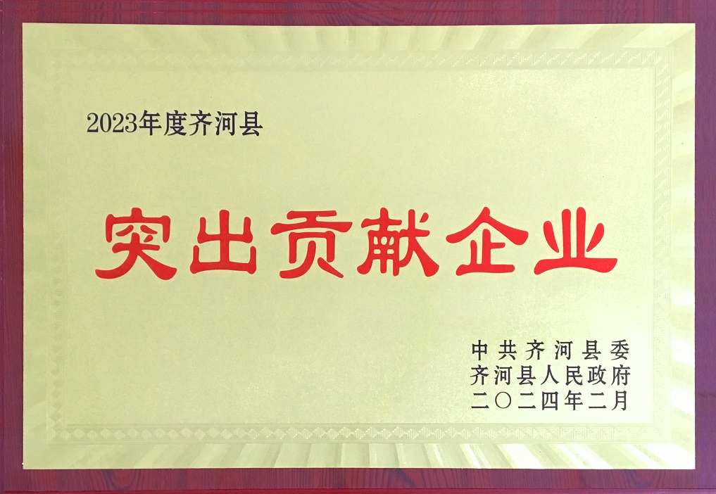 旗舰集团荣获2023年度齐河县“突出贡献企业奖”！