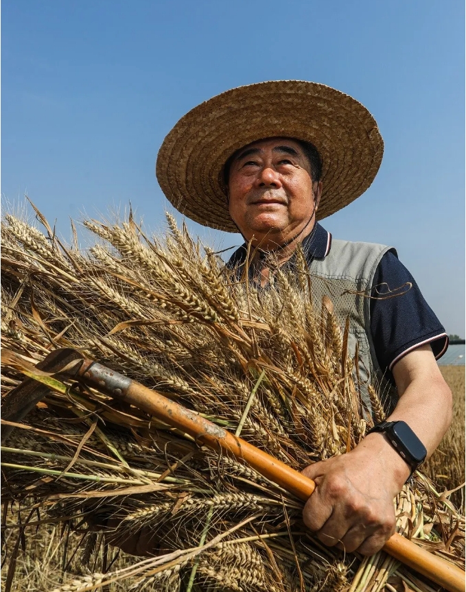 田野守望者——《山东画报》2024年第9期 王洪光专访